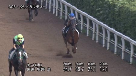 京成杯オータムハンデ2019 追い切り