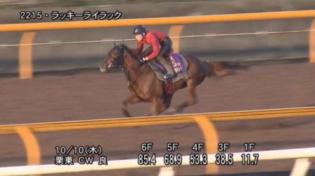 府中牝馬ステークス2019 追い切り