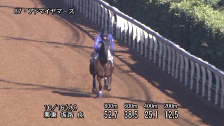 富士ステークス2019 追い切り