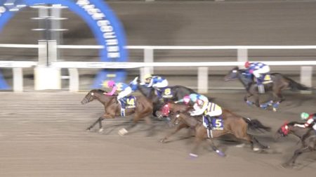 エーデルワイス賞2019 コーラルツッキー