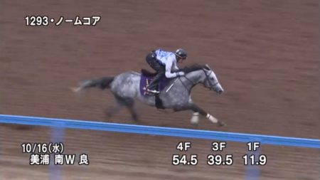 富士ステークス2019 追い切り