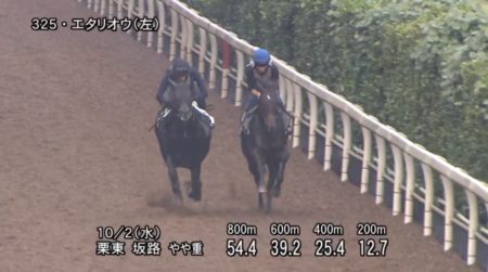 京都大賞典2019 追い切り