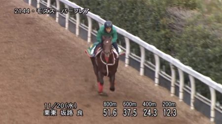 京阪杯2019 追い切り