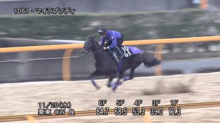 京都2歳ステークス2019 追い切り