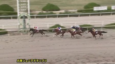 兵庫ジュニアグランプリ2019 テイエムサウスダン