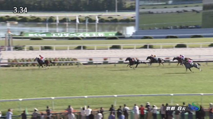 【京都ジャンプステークス2019】結果・動画/ディライトフルが逃げ切り圧勝