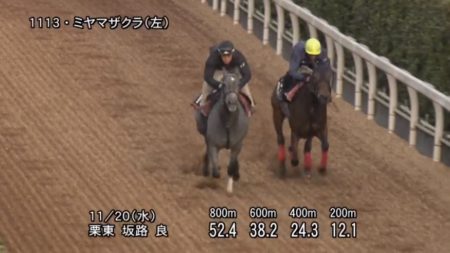 京都2歳ステークス2019 追い切り