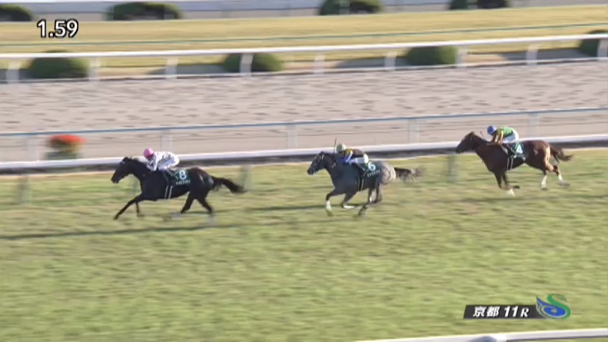 京都2歳ステークス2019 マイラプソディ