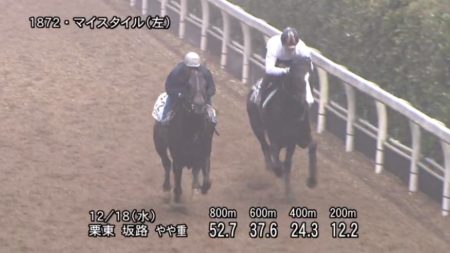 阪神カップ2019 追い切り