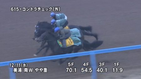 ターコイズステークス2019 追い切り