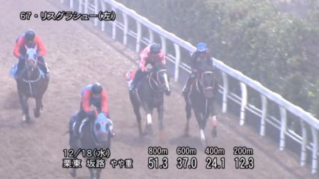 有馬記念2019 追い切り