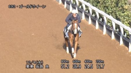 カペラステークス2019 追い切り