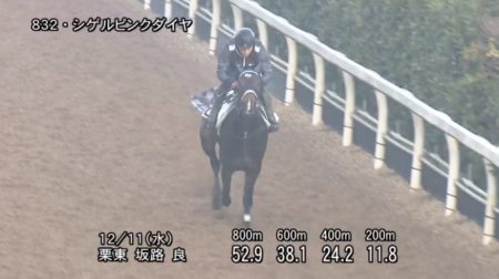 ターコイズステークス2019 追い切り