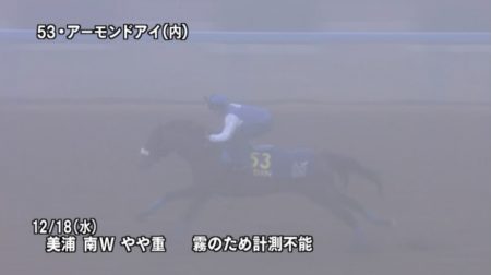 有馬記念2019 追い切り