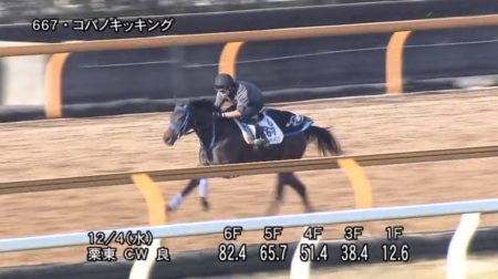 カペラステークス2019 追い切り