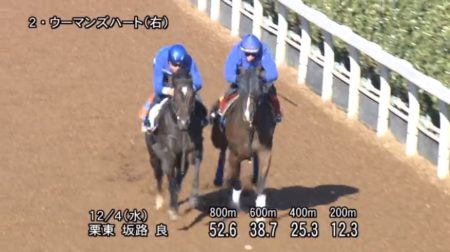 阪神ジュベナイルフィリーズ2019 追い切り