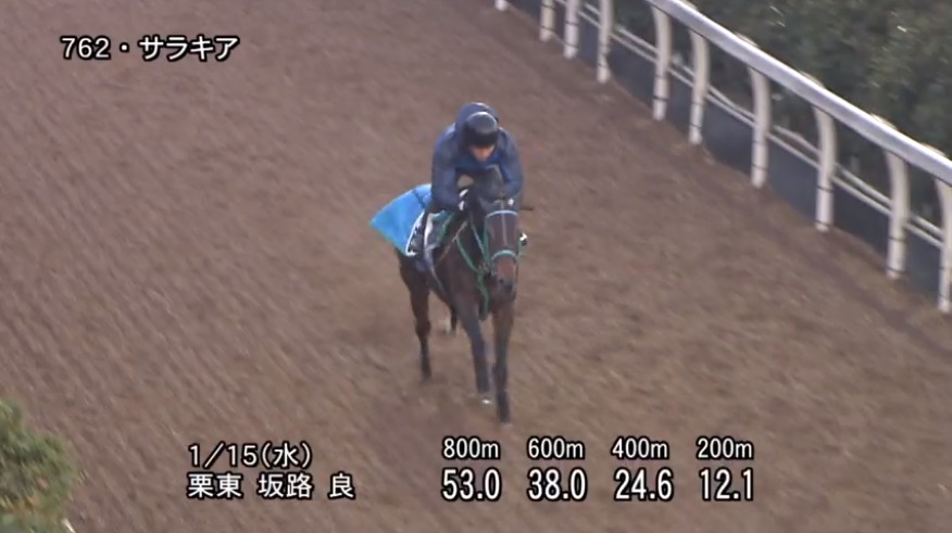 愛知杯2020 追い切り
