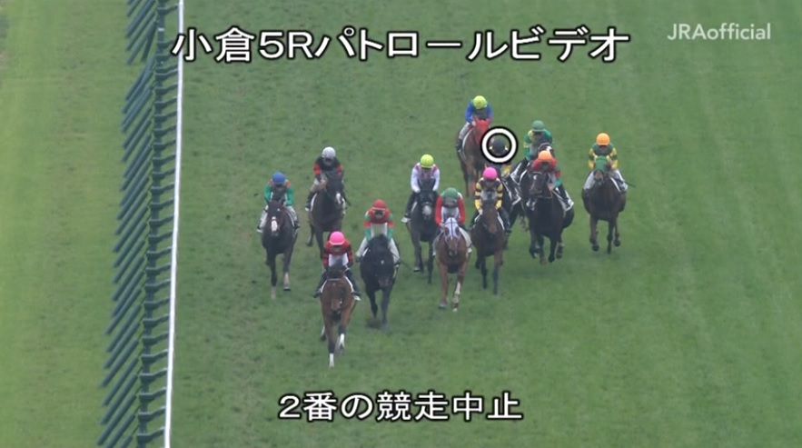 藤田菜七子騎手 落馬 2020年2月15日
