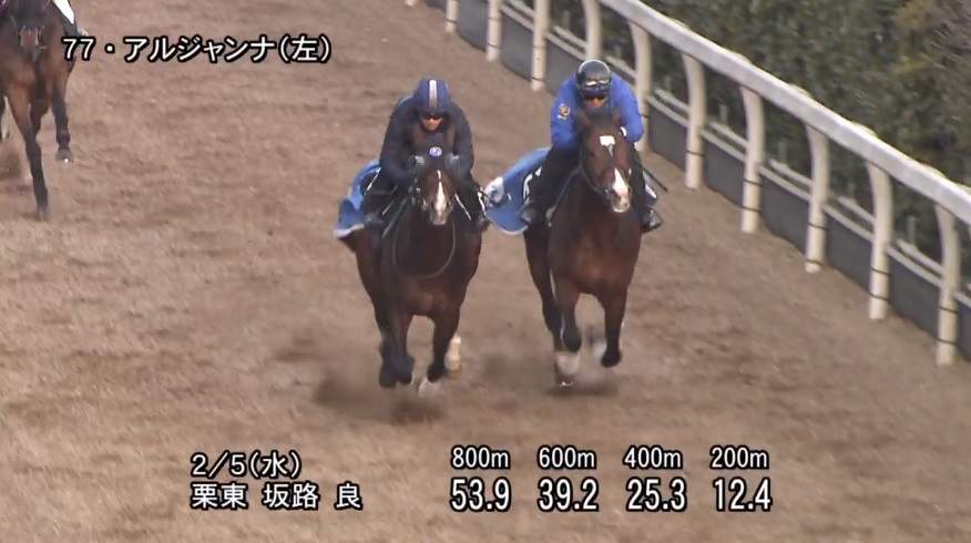 きさらぎ賞2020 追い切り