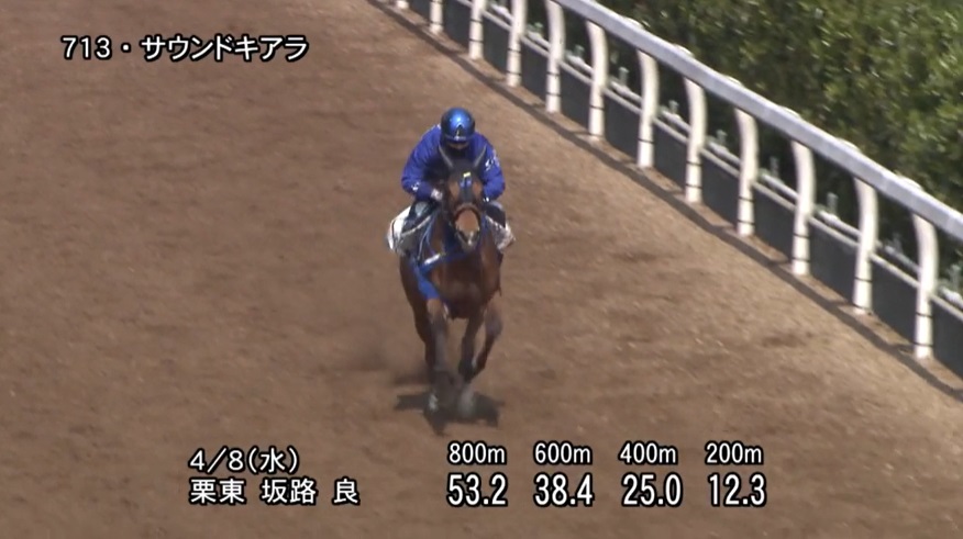 阪神牝馬ステークス2020 追い切り