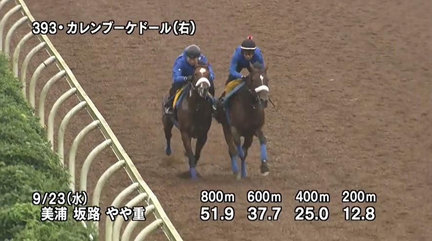 オールカマー2020 追い切り