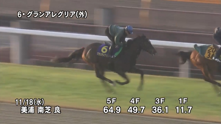 マイルCS 2020 追い切り