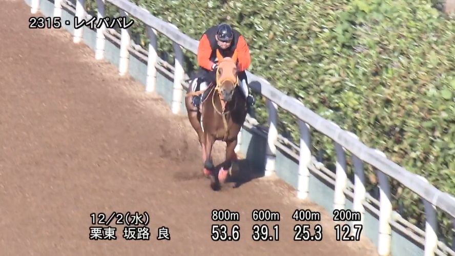 チャレンジカップ2020 追い切り