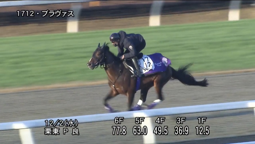 チャレンジカップ2020 追い切り