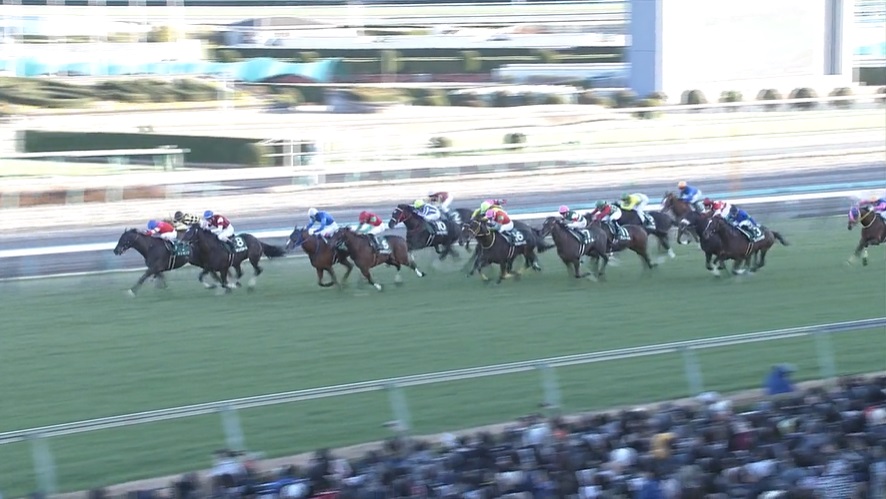 中山金杯2021 出走予定馬 予想オッズ 結果 ここから一年が始まる