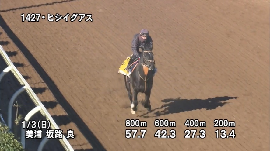 中山金杯2021 追い切り
