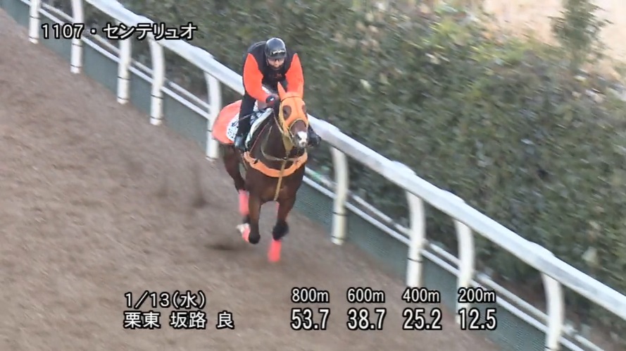 愛知杯2021 追い切り