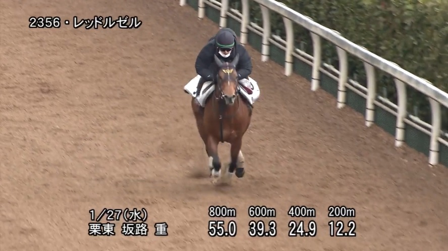 根岸ステークス2021 追い切り