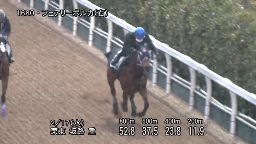 小倉大賞典2021 追い切り