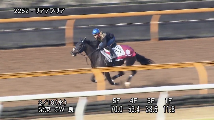 中山牝馬ステークス2021 追い切り