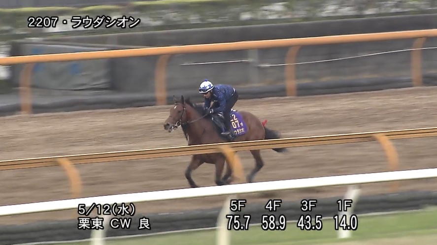 京王杯スプリングカップ2021 追い切り