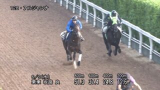 メルボルンカップ19 結果 動画 ヴァウアンドディクレアが優勝 メールドグラースは6着 メルボルンカップ19 結果 動画 ヴァウアンドディクレアが優勝 メールドグラースは6着