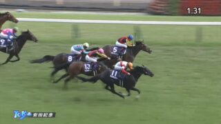 メルボルンカップ19 結果 動画 ヴァウアンドディクレアが優勝 メールドグラースは6着 メルボルンカップ19 結果 動画 ヴァウアンドディクレアが優勝 メールドグラースは6着