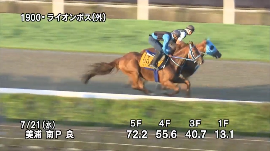 アイビスサマーダッシュ2021 追い切り