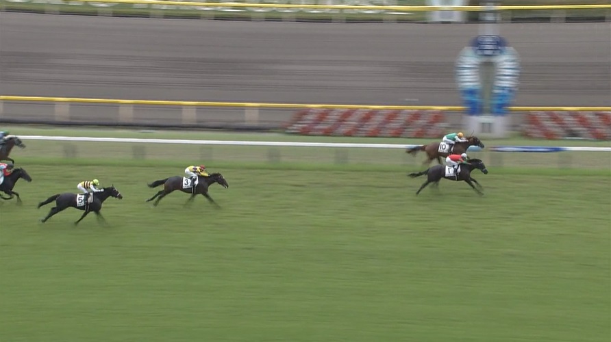 3歳新馬戦 出走予定馬 22年2月19日 日 想定一覧