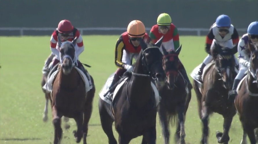 3歳新馬戦 出走予定馬 22年2月19日 日 想定一覧