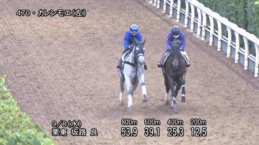 セントウルステークス2021 追い切り