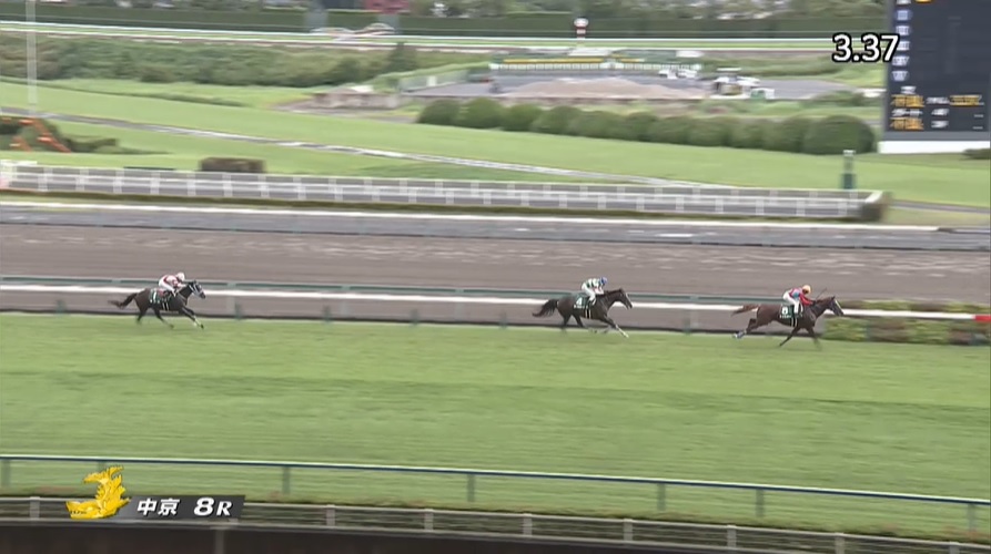 阪神ジャンプステークス2021 トゥルボー