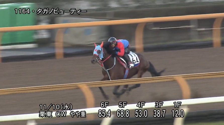 武蔵野ステークス2021 追い切り