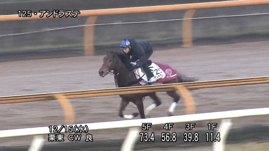 ターコイズステークス2021 追い切り