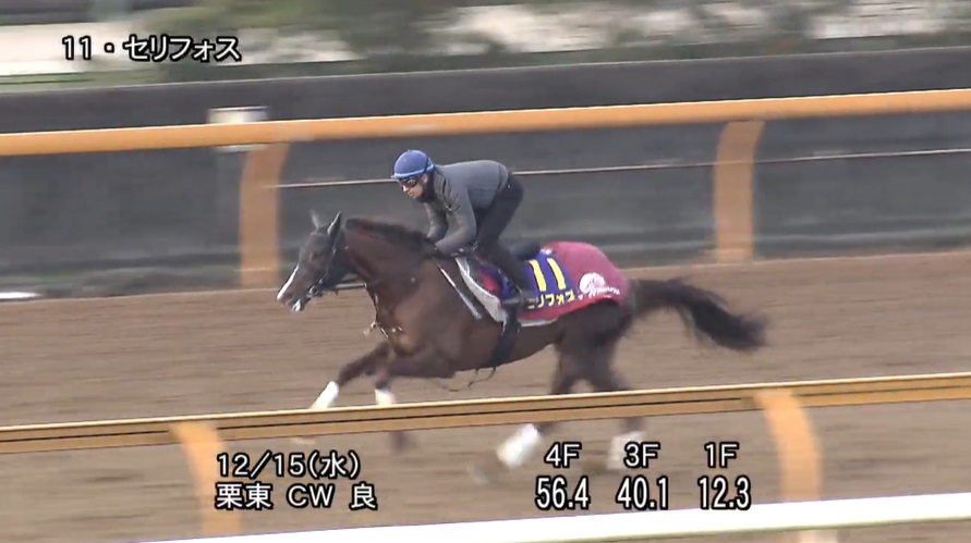 朝日杯フューチュリティステークス2021 追い切り