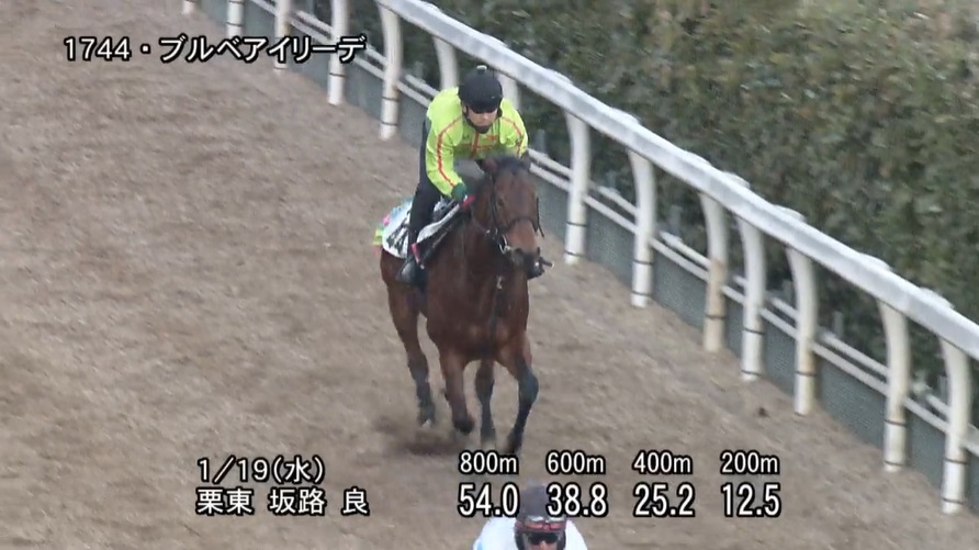 東海ステークス2022 追い切り