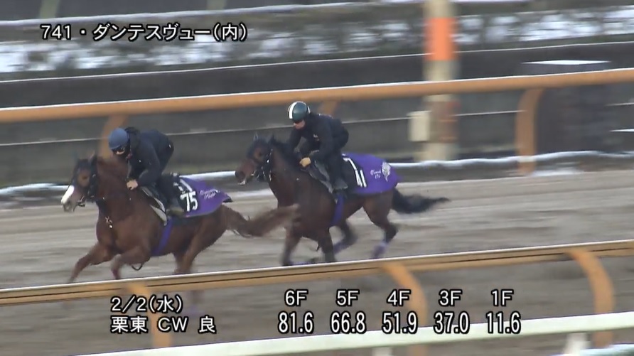 きさらぎ賞2022 追い切り