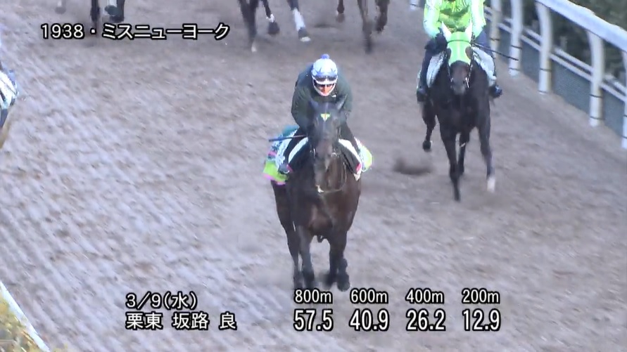 中山牝馬ステークス2022 追い切り