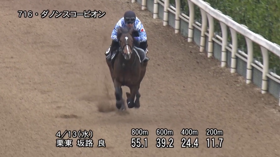 アーリントンカップ2022 追い切り