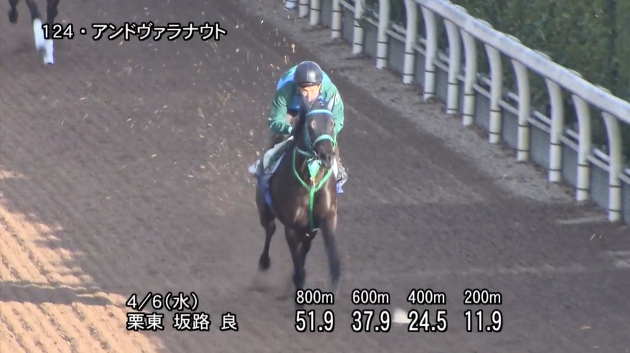 阪神牝馬ステークス2022 追い切り